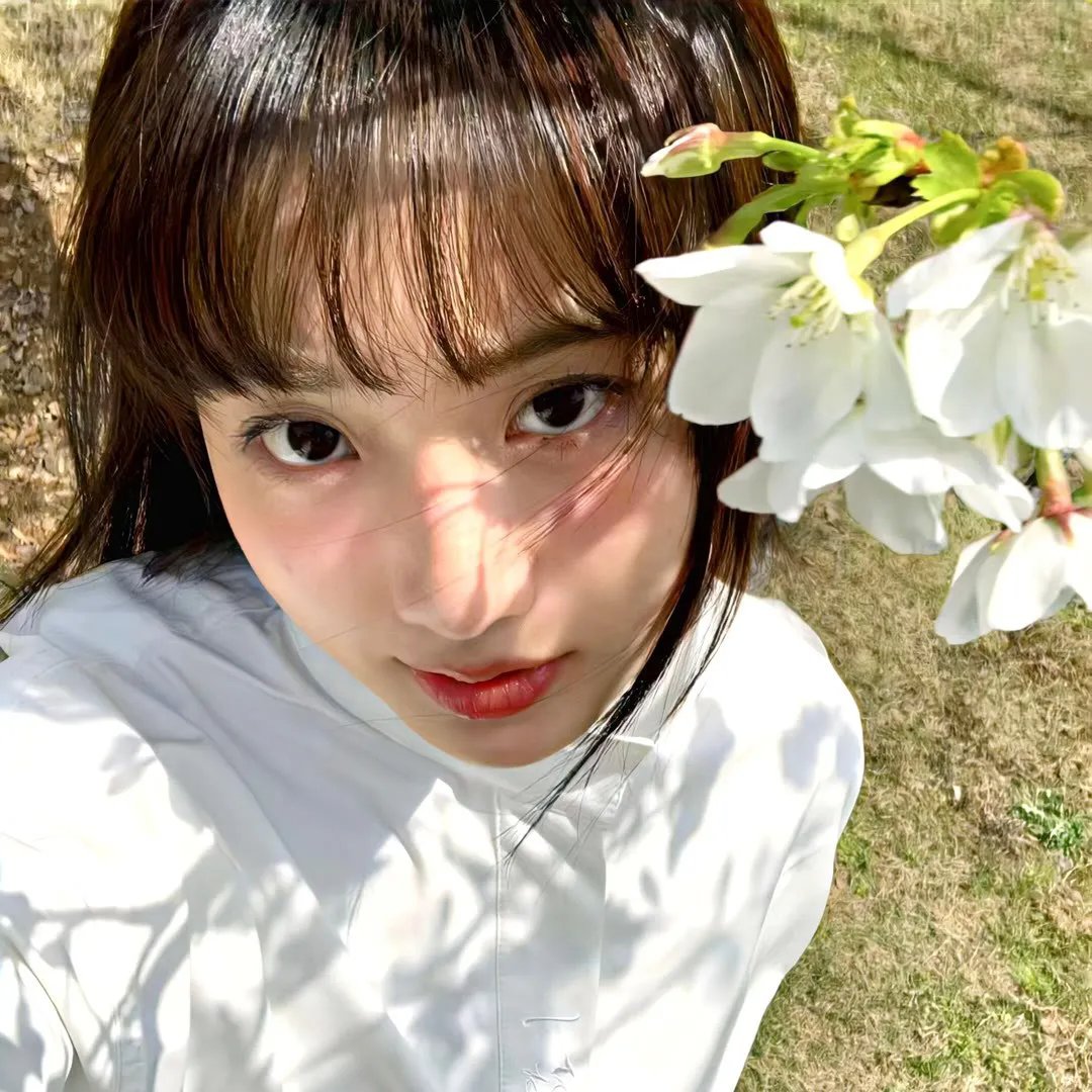 花园派对