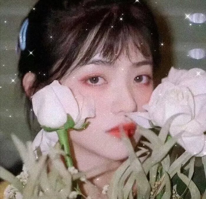 我温柔的斗牛士